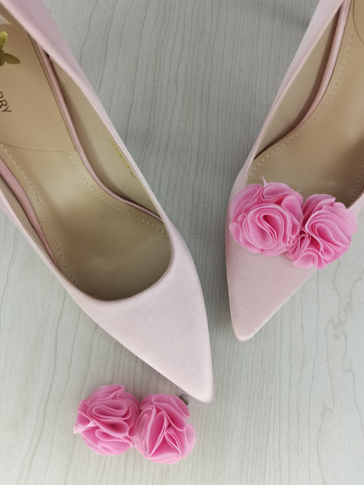rose flowers